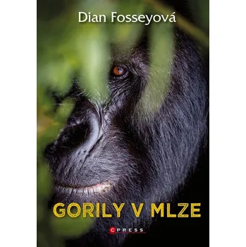 Umění Gorily v mlze