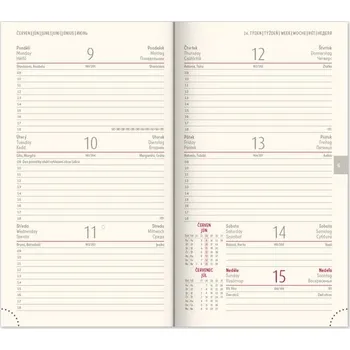 Diář Kapesní diář 2025 Diario růžový