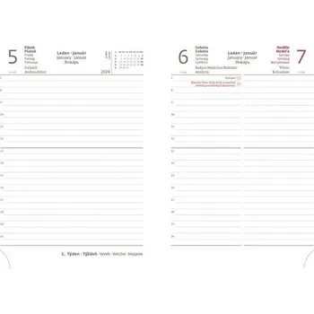 Diář Denní diář 2025 B6 Flip hnědo/hnědá