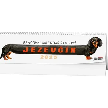 Kalendář Pracovní kalendář Jezevčík 2025 - stolní kalendář
