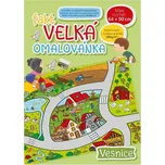 Fakt velká omalovánka Vesnice