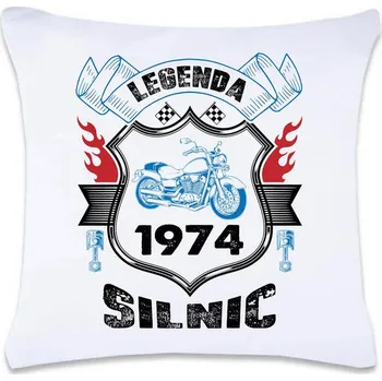 Dekorativní polštářek DOBRÝ TRIKO Polštář s potiskem Legenda silnic 40 x 40 cm Oboustranný tisk: NE