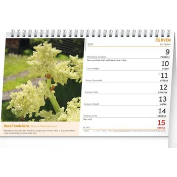 Kalendář Přírodní lékárna 2025 - stolní kalendář