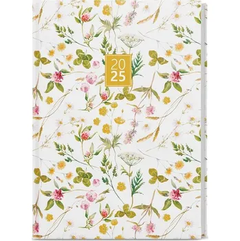 Diář Denní diář 2025 Adam Lamino B6 Luční