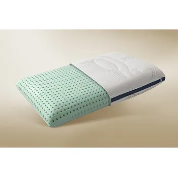 Polštář Ložnice21, Ložnice21. Anatomický polštář Charmbed Savoir Rozměr: 72x42x12 cm, Typ potahu: Tencel