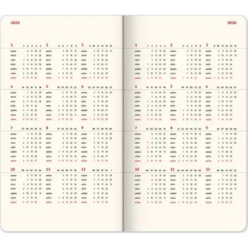 Diář Týdenní diář Teribear 2025, 9 × 15,5 cm