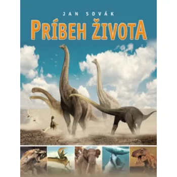 Umění Príbeh života