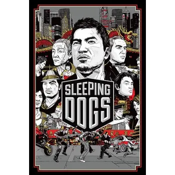 Herní zařízení Sleeping Dogs PC