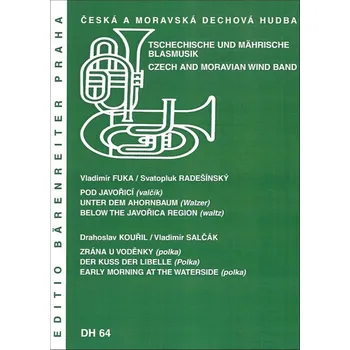 Umění Pod javořicí / Zrána u voděnky