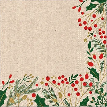 Papírový kapesník Ubrousky PAW Dekor We Care (20ks) Berries Frame