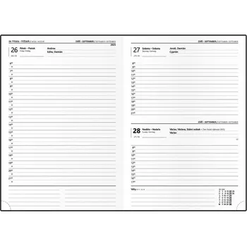 Diář Denní diář 2025 David Lamino A5 modrozlatý