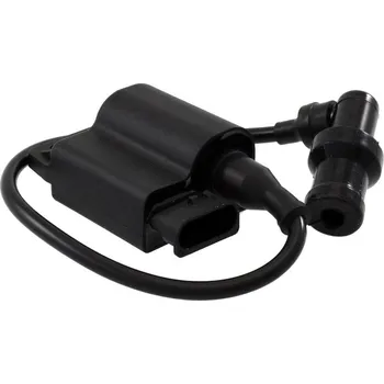 Elektroinstalace pro motocykl Zapalovací cívka RMS 246010490 (No power limitation) APRILIA Scarabeo 50 (Di-tech) 2002-2009
