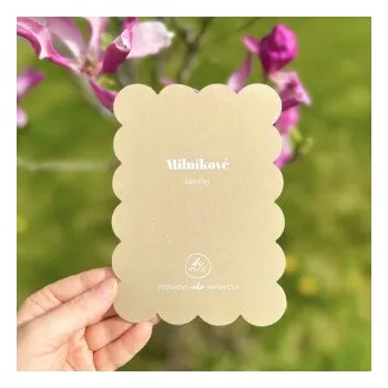 Be Nice EKO Milníkové kartičky - béžové