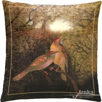 Povlak na dekorativní polštářek Povlak na polštář 40 x 40 cm - Dva ptáčci