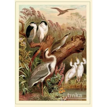 Dekorativní polštářek Reprodukce z přírody, volavky Velikost: 30 x 40 cm