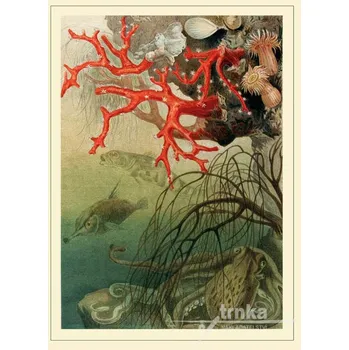 Dekorativní polštářek Reprodukce z přírody, koraly Velikost: 30 x 40 cm