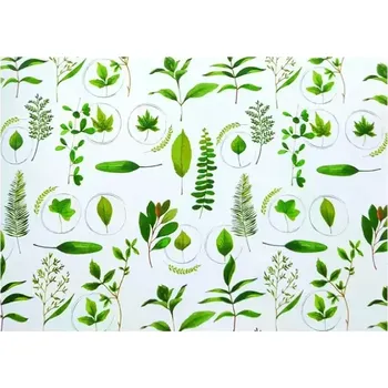 Balící papír Balící papír Botanica