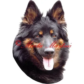 Samolepka chodský pes 461