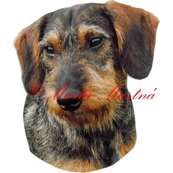 Samolepka jezevčík drsnosrstý 235