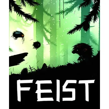 Herní zařízení FEIST PC