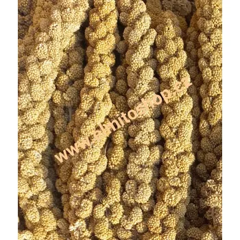 Krmivo pro ptáka Senegalské proso ŽLUTÉ klasy