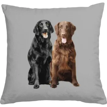 Pánská móda Polštář bavlněný s potiskem Flat Coated Retriver