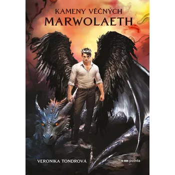 Kniha Kameny věčných