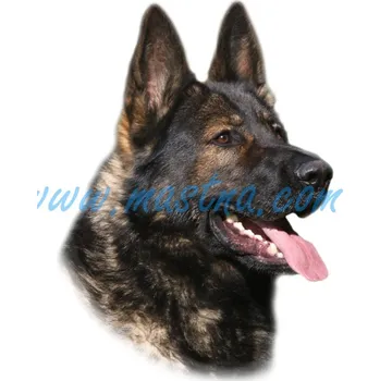 Samolepka německý ovčák vlkošedý dlouhosrstý 37