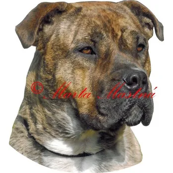 Samolepka presa malorka archiv 127