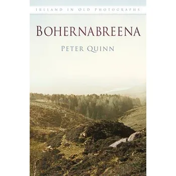Cestování Bohernabreena - Quinn, Peter