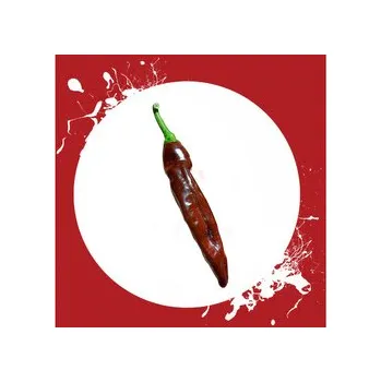 Semeno Chilli semena Ethiopian Brown 10 ks