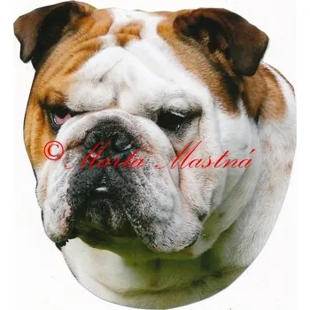 Samolepka buldok anglický 105 - archiv