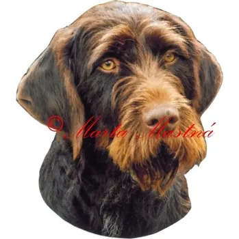 Samolepka český fousek, ohař - archiv 291