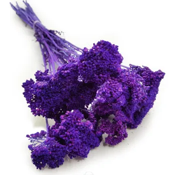 mech-mech.cz Sušený Řebříček - (Achillea) - fialový IT