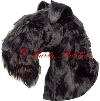 Samolepka kerry blue teriér archiv 183