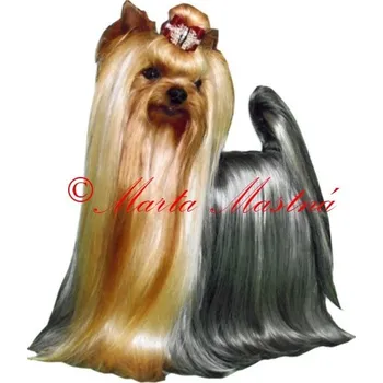 Samolepka jorkšír teriér 181- archiv