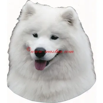 Samolepka samojed 271 - archiv