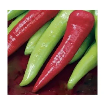 Semeno PAPRIKA zeleninová Sharon (F1) (Capsicum annuum) 10 semen