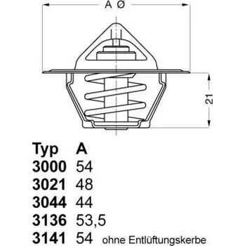 Těsnění motoru Termostat, chladivo BorgWarner (Wahler) 3000.83