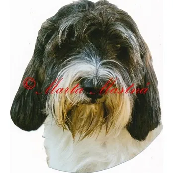 Samolepka vendéský baset 288