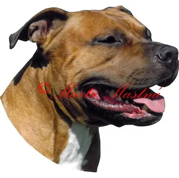 Samolepka stafordšírský teriér, staford 533