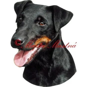 Samolepka jagdteriér 196