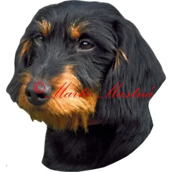 Samolepka jezevčík drsnosrstý black and tan 707