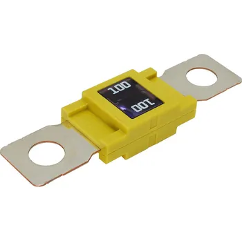 Autopojistky Maxi pojistka 100A