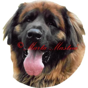 Samolepka leonberger 121 - archiv