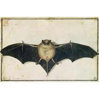 Plakát Plakát, Obraz - Bat, 1522, Albrecht Dürer