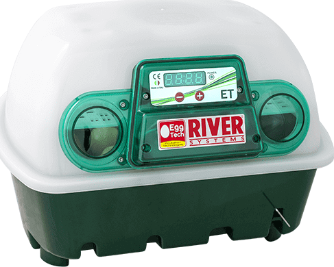 River Systems Líheň kuřat COVINA SUPER 12, digitální poloautomatická