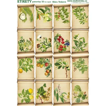 Speciální papír Samolepicí etikety potraviny 32, bez nápisů
