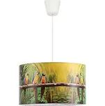 Duolla - Dětský lustr na lanku PARROTS 1xE27/40W/230V pr. 35 cm