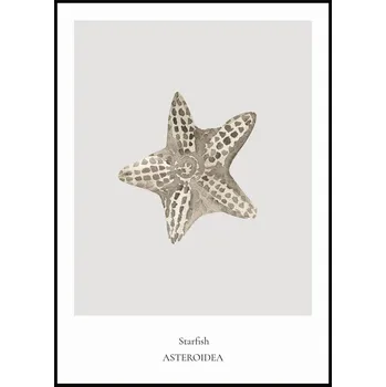 Plakát Jen tak z lásky Plakát Starfish Rozměr plakátu: A4 (21 x 29,7 cm)